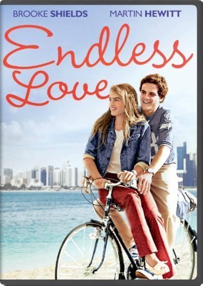 دانلود فیلم Endless Love 1981 بدون سانسور با پخش آنلاین