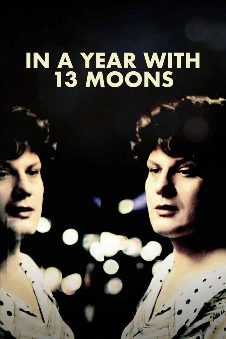 دانلود فیلم In a Year with 13 Moons 1978 بدون سانسور با پخش آنلاین