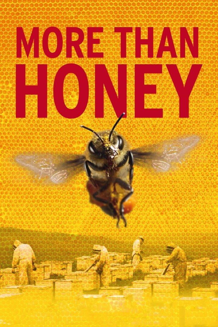 دانلود فیلم More Than Honey 2012 بدون سانسور با پخش آنلاین