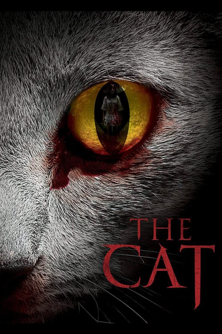 دانلود فیلم The Cat 2011 بدون سانسور با پخش آنلاین