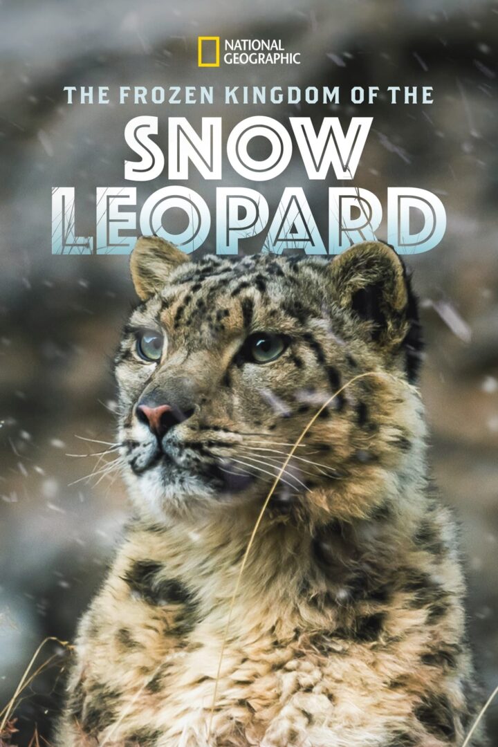 دانلود فیلم The Frozen Kingdom of the Snow Leopard 2020 بدون سانسور با پخش آنلاین