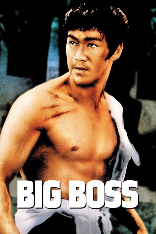 دانلود فیلم The Big Boss 1971 بدون سانسور با پخش آنلاین