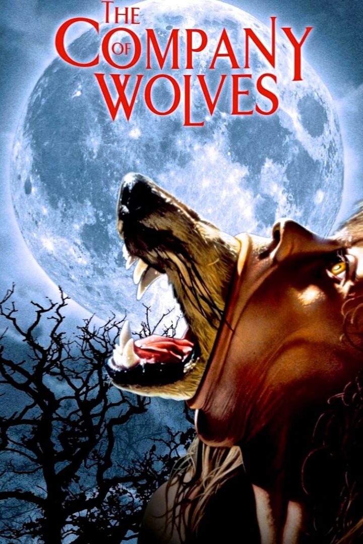دانلود فیلم The Company of Wolves 1984 بدون سانسور با پخش آنلاین