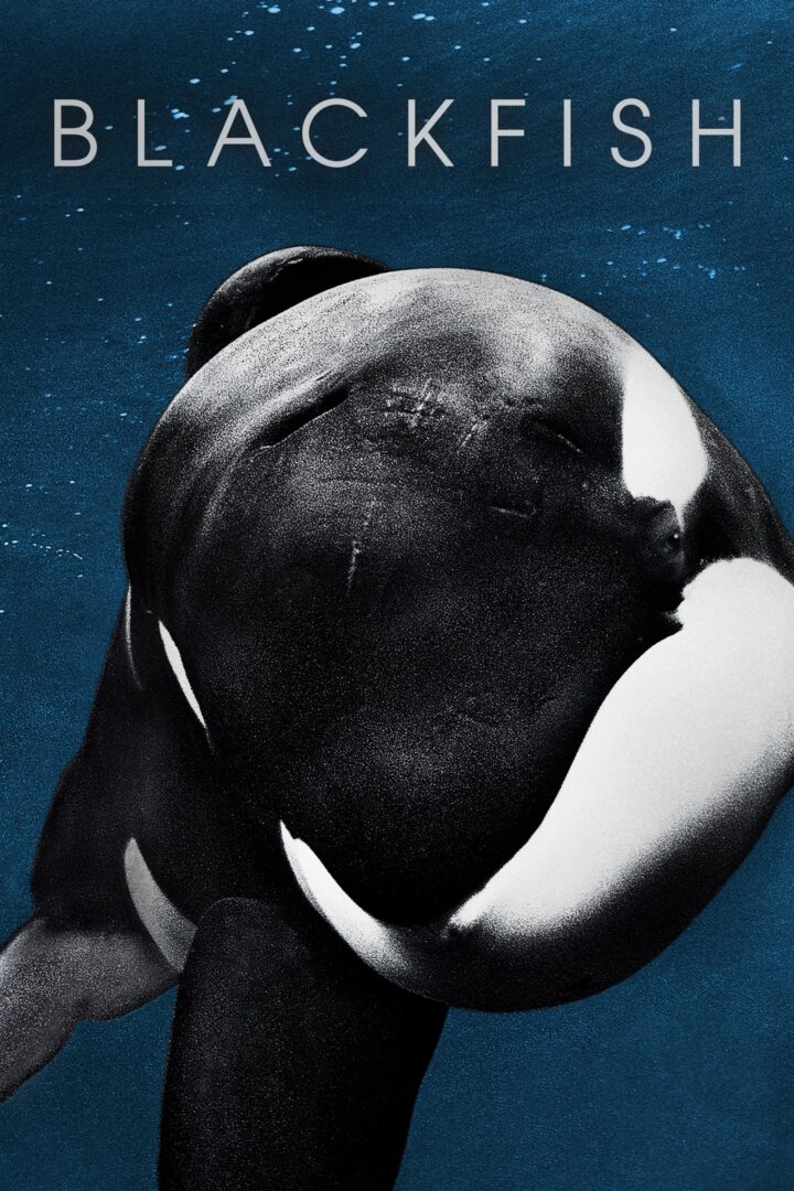 دانلود فیلم Blackfish 2013 بدون سانسور با پخش آنلاین
