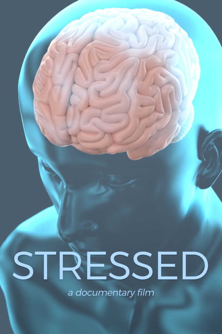 دانلود فیلم Stressed 2019 بدون سانسور با پخش آنلاین