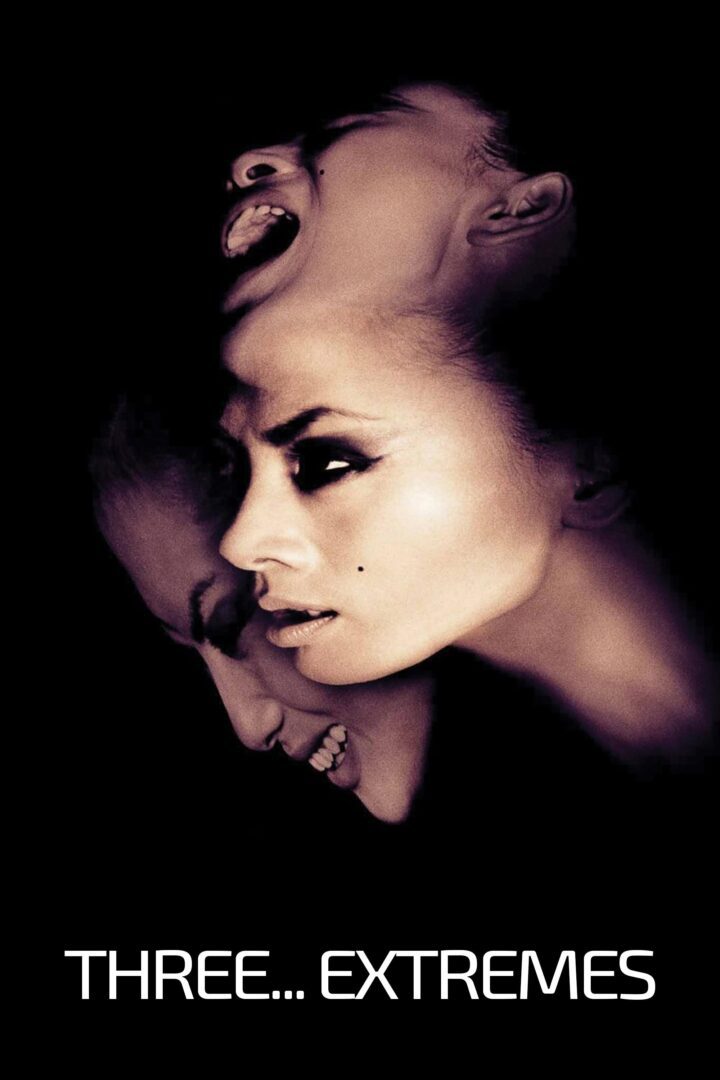 دانلود فیلم Three… Extremes 2004 بدون سانسور با پخش آنلاین