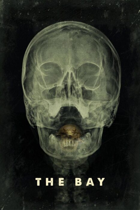 دانلود فیلم The Bay 2012 بدون سانسور با پخش آنلاین