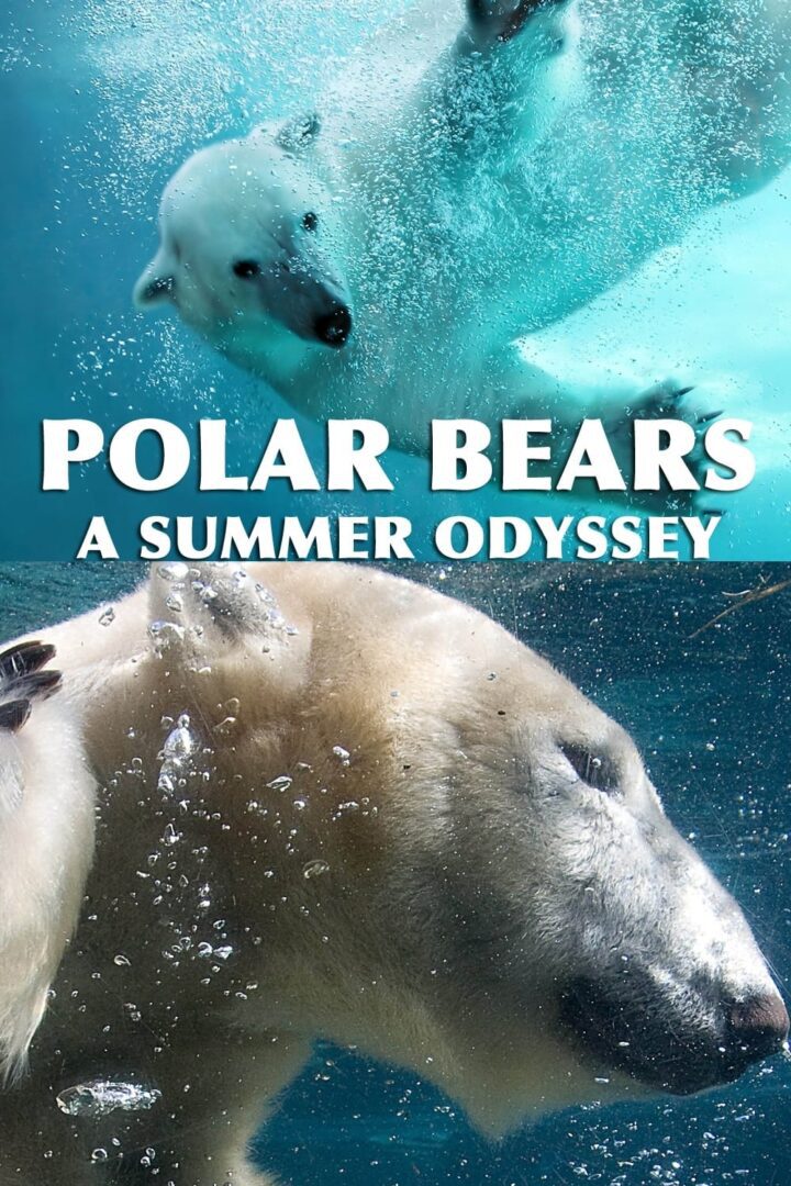 دانلود فیلم Polar Bears: A Summer Odyssey 2012 بدون سانسور با پخش آنلاین