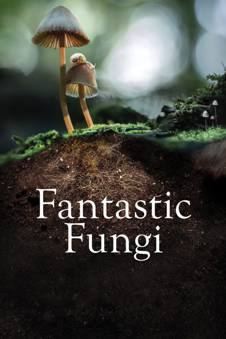 دانلود فیلم Fantastic Fungi 2019 بدون سانسور با پخش آنلاین