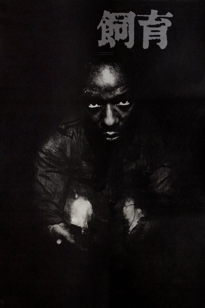 دانلود فیلم The Catch 1961 بدون سانسور با پخش آنلاین