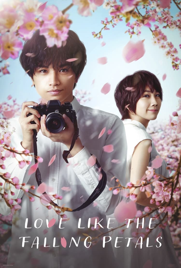 دانلود فیلم Love Like the Falling Petals 2022 بدون سانسور با پخش آنلاین