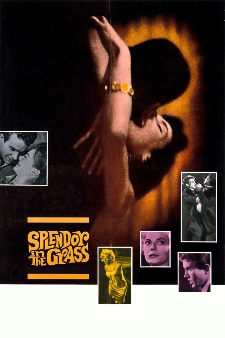 دانلود فیلم Splendor in the Grass 1961 بدون سانسور با پخش آنلاین