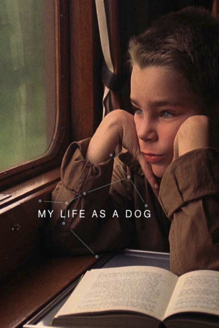 دانلود فیلم My Life as a Dog 1985 بدون سانسور با پخش آنلاین