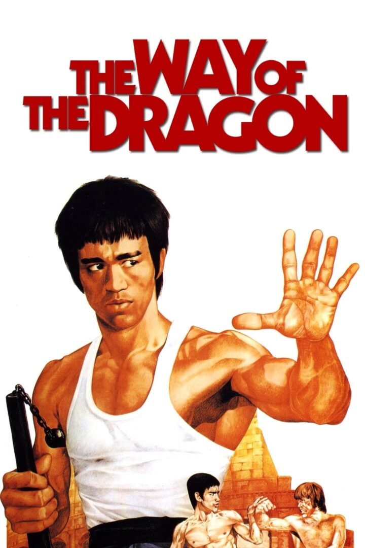 دانلود فیلم The Way of the Dragon 1972 بدون سانسور با پخش آنلاین