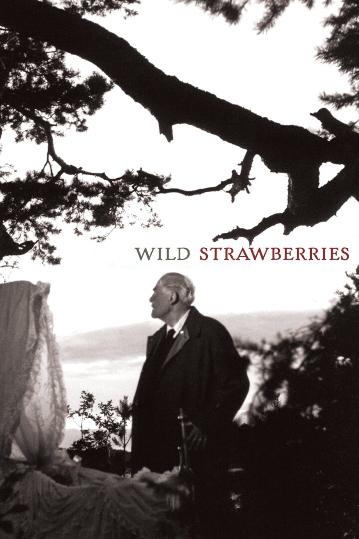 دانلود فیلم Wild Strawberries 1957 بدون سانسور با پخش آنلاین