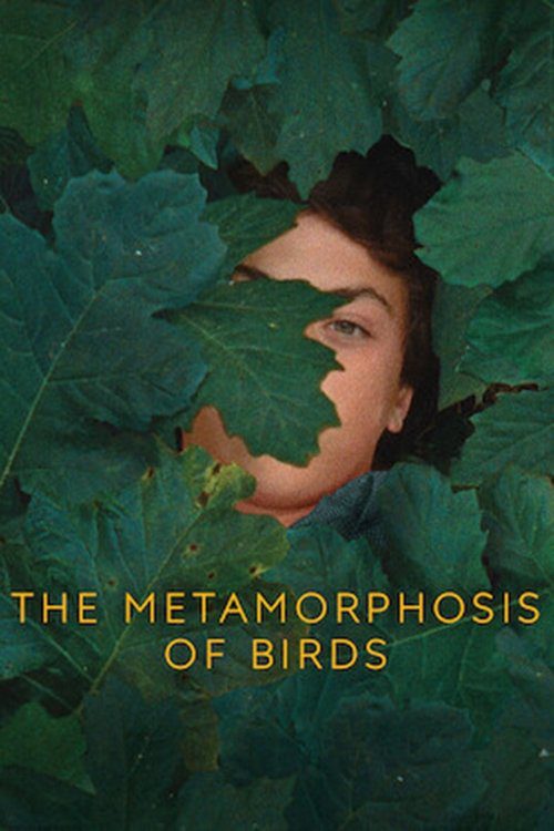 دانلود فیلم The Metamorphosis of Birds 2020 بدون سانسور با پخش آنلاین