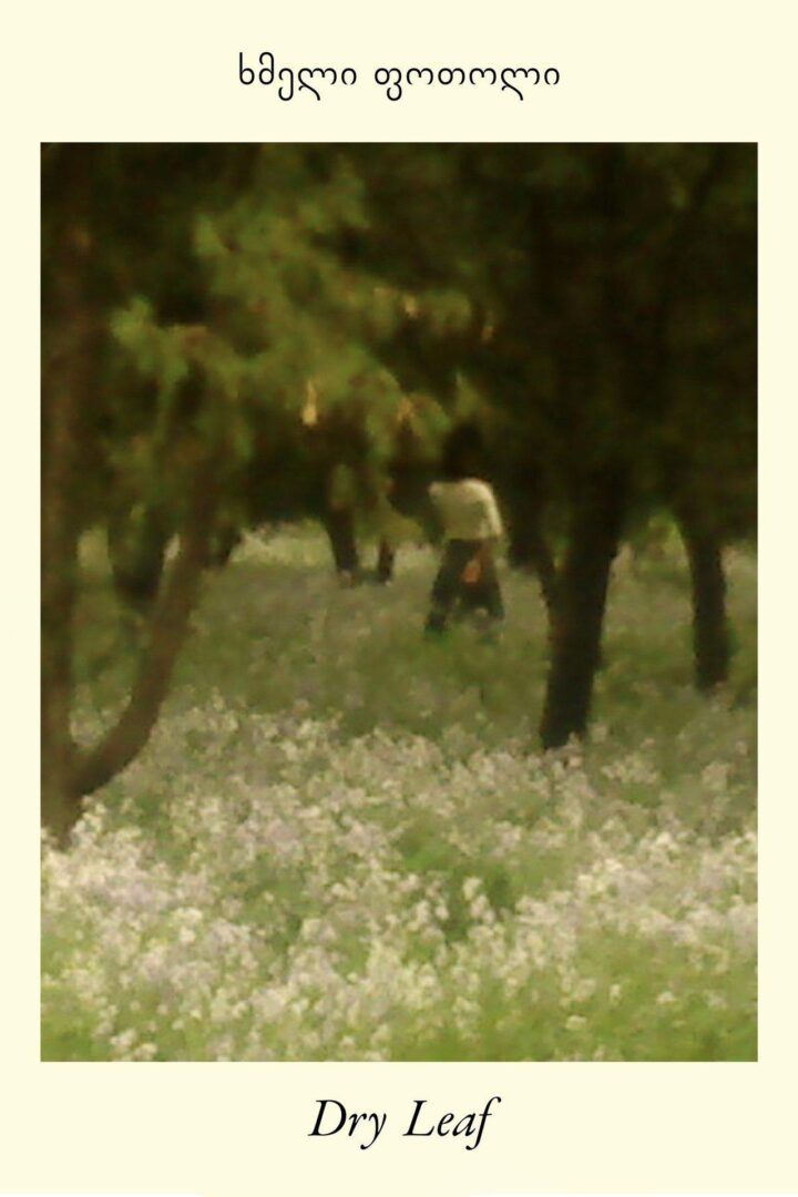 دانلود فیلم Dry Leaf 2025 بدون سانسور